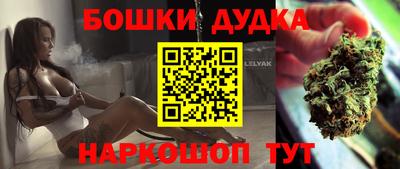 гашик Новокубанск
