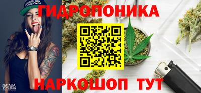 гашик Новокубанск