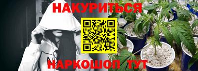индика Обь