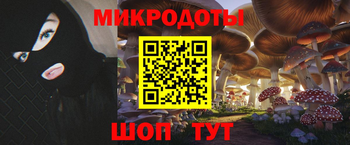 Сочи  купить  сайты  Вход с VPN  Галлюциногенные грибы Psilocybe 