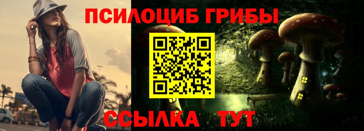 Псилоцибиновые грибы прущие грибы Сочи